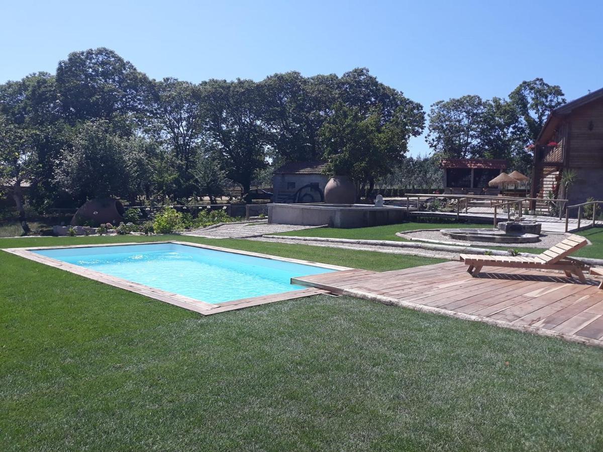 Apartament Quinta Ze Do Coval Arouca Zewnętrze zdjęcie